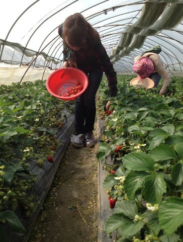 圖片關(guān)鍵詞