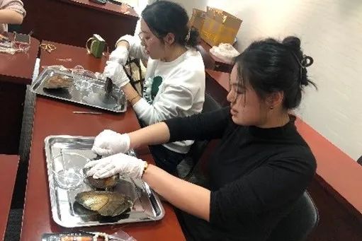 1710294249135089.jpg 640 (5).jpg